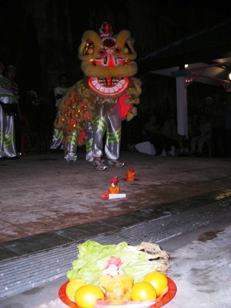 zhong hua lion dance performance